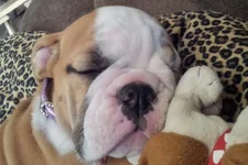 Lola first year 017.webp