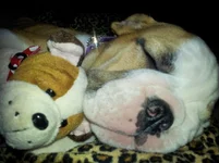 Lola first year 019.webp