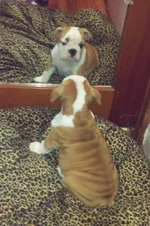 Lola first year 015.webp
