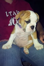 Lola first year 019.webp