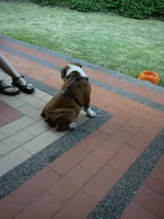 IMG_20120429_172353.webp