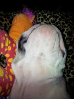 Lola first year 022.webp