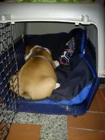 IMG_20120429_195038.webp