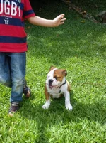 IMG_20120521_134927.webp