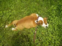IMG_20120524_110752.webp