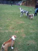 IMG_20120526_174636.webp