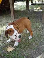 IMG_20120609_125943.webp