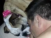bertha sleeping.webp