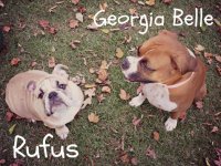 rufus&georgia2.jpg rufus&georgia2.jpg