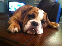 8-26-2012 005.webp