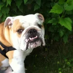 oliverrrr-6-19-12.webp