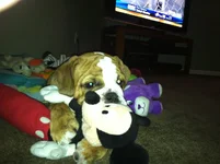 8-25-2012 006.webp