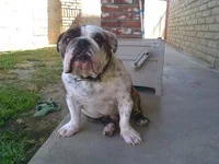 uploadfromtaptalk1346003198324.webp