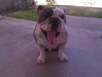 uploadfromtaptalk1346003221227.webp