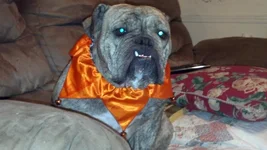 2012-10-29_19-22-20_297.webp