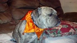 2012-10-29_19-22-59_335.webp