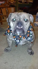 2012-10-29_19-27-55_941.webp