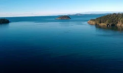 IMAG0183.webp