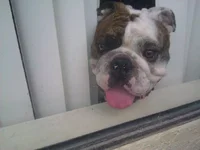 uploadfromtaptalk1346022774234.webp