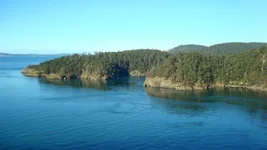 DSC02134.webp