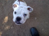 IMG-20121212-00011.webp