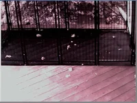 Capture.webp