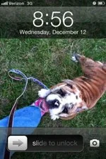 photoonphone.webp