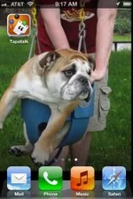 photo.webp