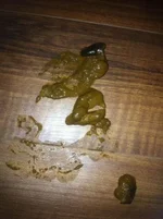 ImageUploadedByTapatalk1340422872.522328.webp