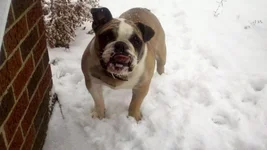 geno outside jan 2010.webp
