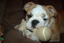 GEDC1277.jpg GEDC1277.jpg