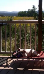 IMAG0782.webp