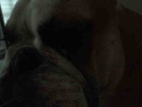 ImageUploadedByTapatalk1351787621.315025.jpg ImageUploadedByTapatalk1351787621.315025.jpg