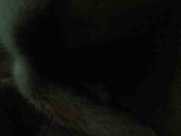 ImageUploadedByTapatalk1351787633.644137.jpg ImageUploadedByTapatalk1351787633.644137.jpg
