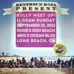 BullyMeetup.webp