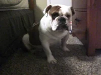 121031_0005.webp