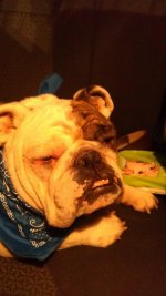 IMAG0210.jpg IMAG0210.jpg
