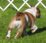 IMG_3386.jpg