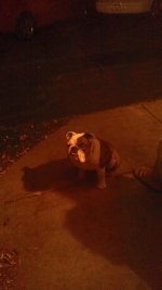 IMAG0214.jpg IMAG0214.jpg