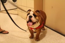 IMG_4702.jpg IMG_4702.jpg