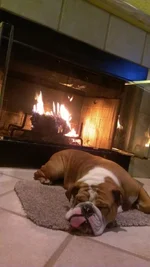 IMAG2051.webp