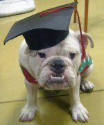 tillygraduation (4).jpg tillygraduation (4).jpg
