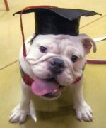 tillygraduation (5).jpg tillygraduation (5).jpg