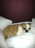 IMG_2854.webp IMG_2854.webp