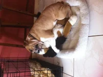 photo-3.webp