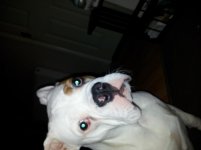 20121214_205939.jpg 20121214_205939.jpg