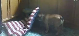 abbycam.webp abbycam.webp