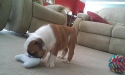 IMAG0132.webp