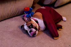Ellie Mae 3.webp Ellie Mae 3.webp