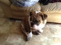 photo(1).webp